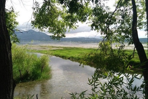 当地生态
