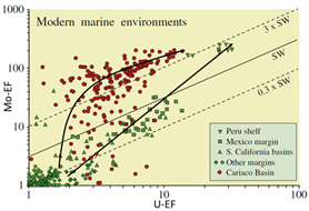 A diagram of different types of patternsAI-generated content may be incorrect.