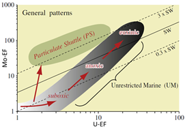 A diagram of different types of patternsAI-generated content may be incorrect.